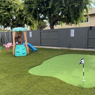 Backyard putting green with two cups and fringe turf beside a patio