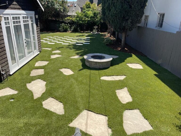 Backyard turf, after