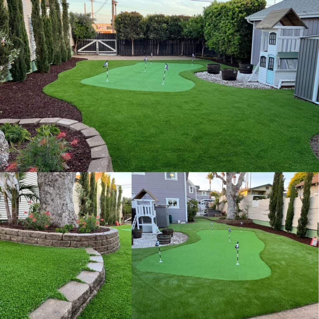 Backyard turf, after
