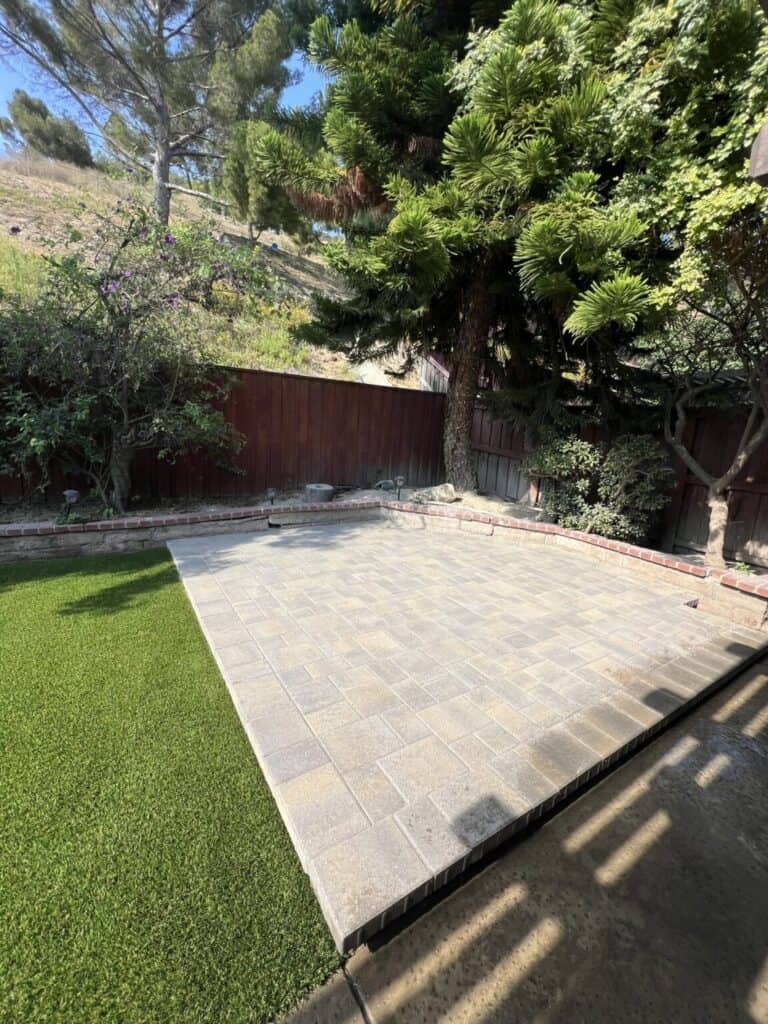 Backyard turf, after