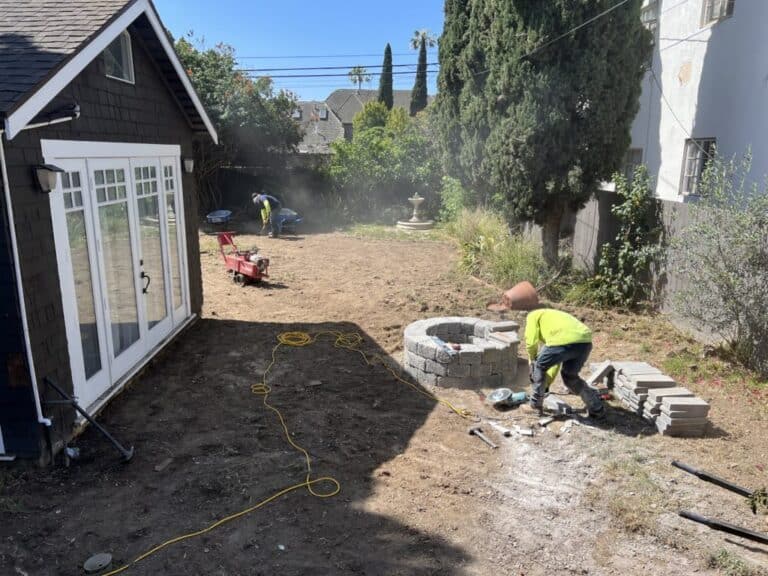 Backyard turf, before