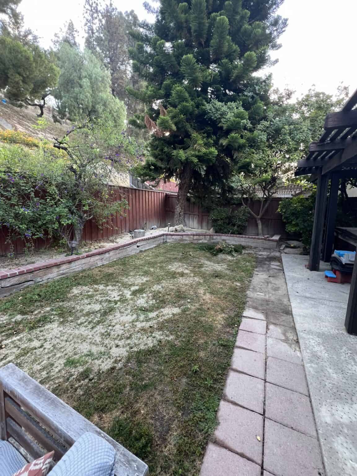 Backyard before the ground cover and hardscape work