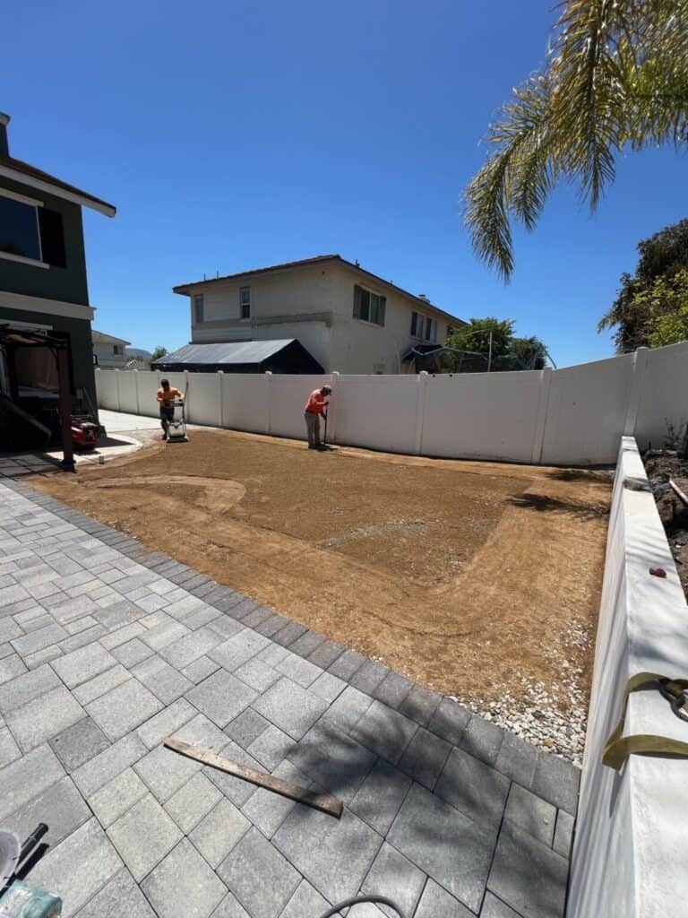 Backyard turf, before