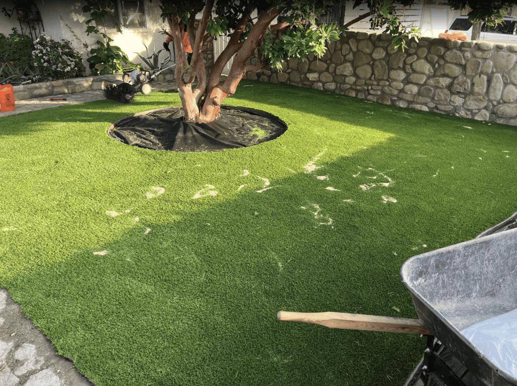 Backyard remodel, after