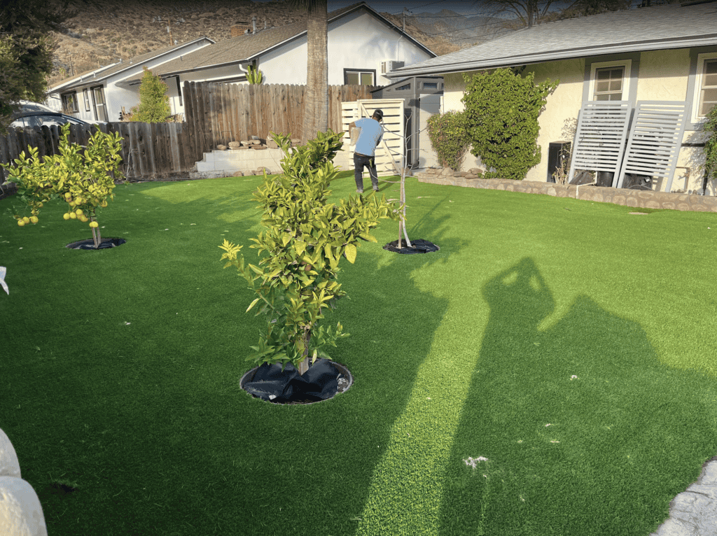 Backyard remodel, after