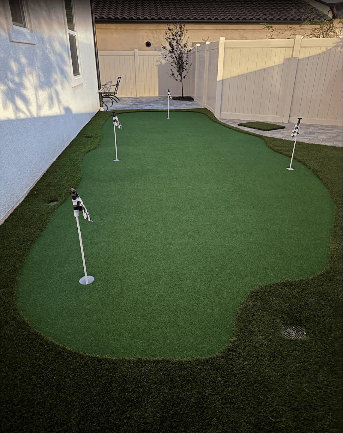 Backyard putting green with cups and a fringe of taller turf